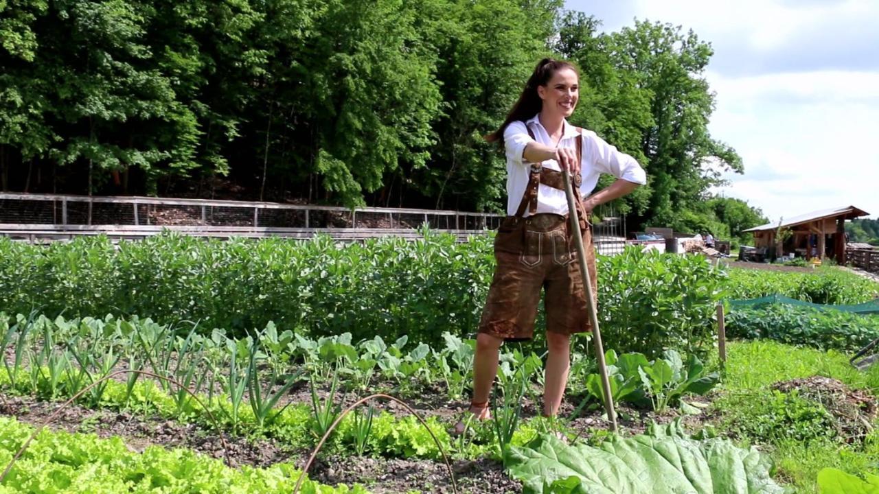 Slovenia Eco Ferienpark