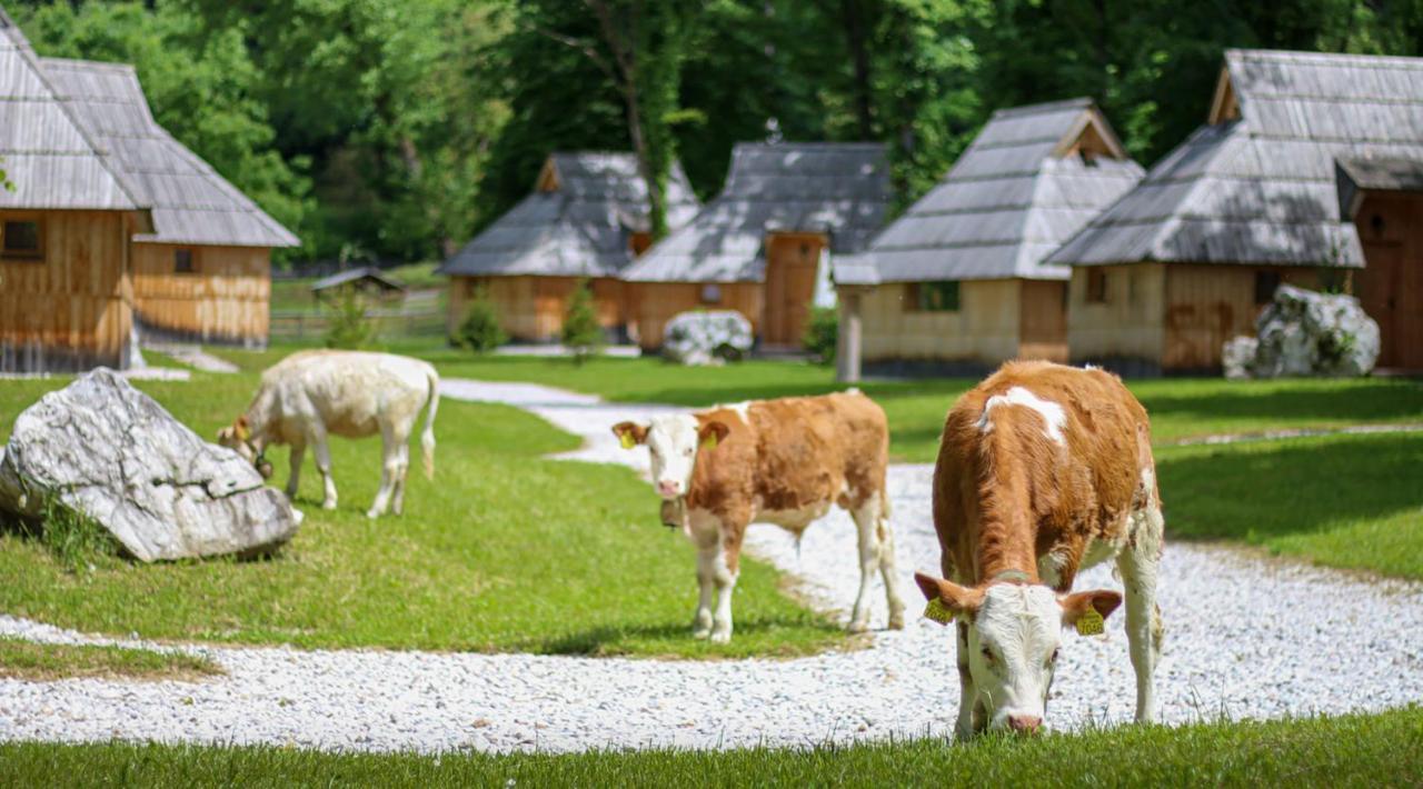Slovenia Eco Ferienpark
