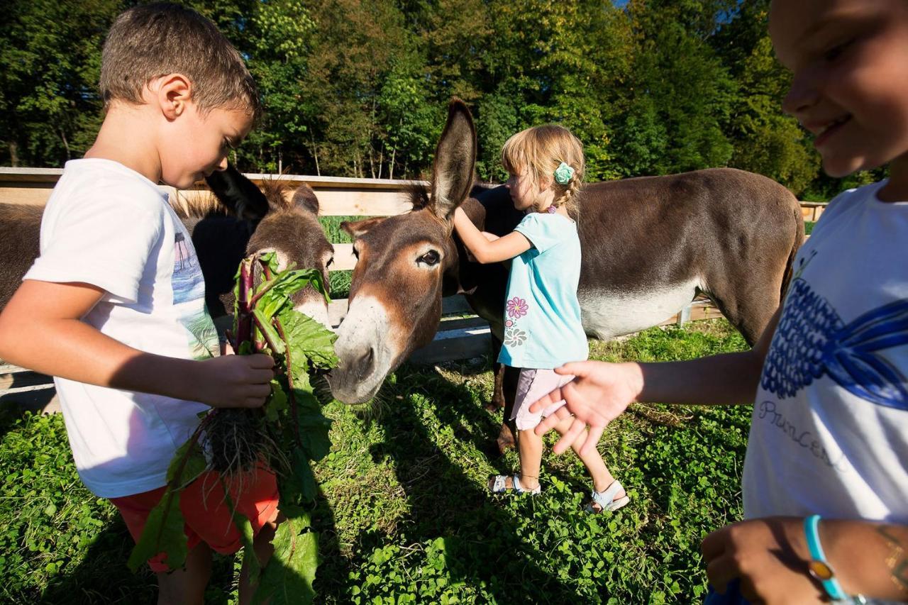 Slovenia Eco 3*